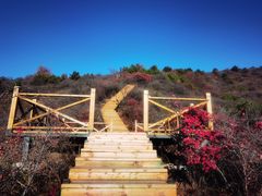 -水峪民俗村