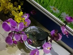 -上海昆虫博物馆