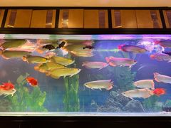 -弘安丽水温泉酒店