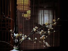 -绿茶餐厅