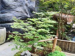 -汤家茗苑·精致私房菜(白沙店)