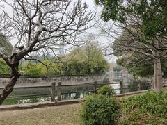 -晓港公园