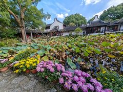 -上海醉白池公园