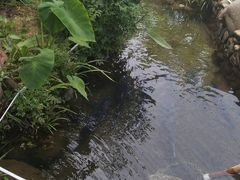 -万景饭店·鱼街农家菜