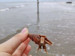 -南澳海滩