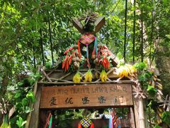 -西双版纳原始森林公园