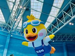 -青岛东方影都融创水世界