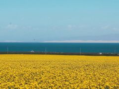 -青海湖国家重点风景名胜区