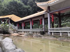 -广州市帽峰山景区