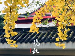 -四川大学(望江校区)