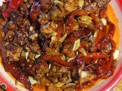 -柴窝堡22号辣子鸡·传承新疆菜