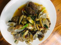 爆炒芒果螺-正能量1号海鲜加工店