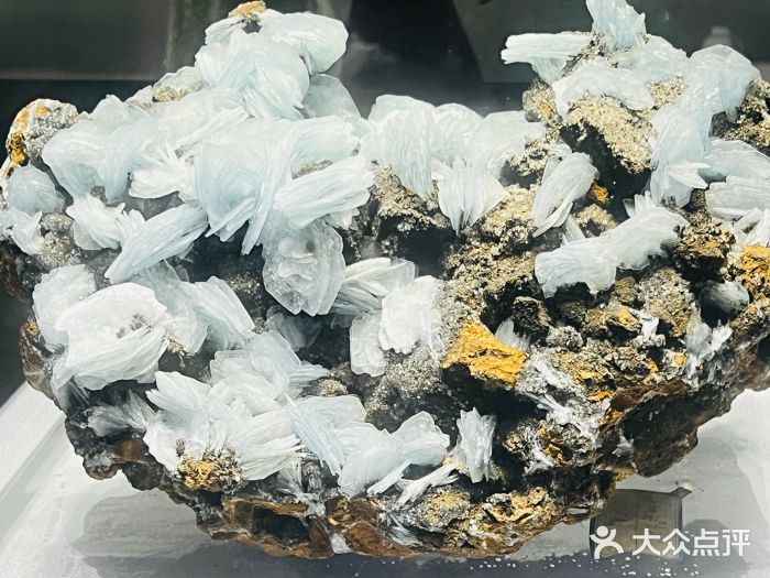 湖南省地质博物馆图片