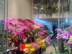 -溪岸路花鸟市场