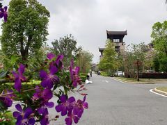 -清远熹乐谷温泉度假酒店
