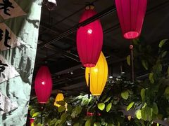 -北平盛世·新京菜·北京烤鸭(劲松·双井店)