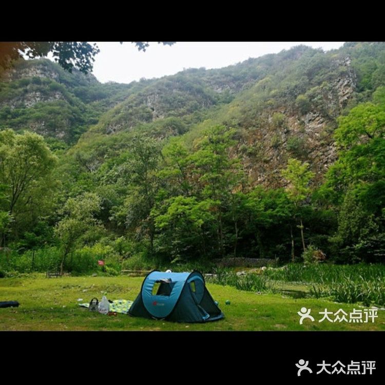 19.9就能带娃体验和恐龙近距离接触的乐园！