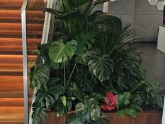 -上海浦东保时捷中心