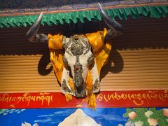 -吉祥圣雪藏餐