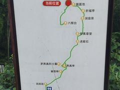 -长沙黑麋峰国家森林公园