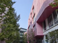 -杭州观成实验学校