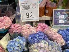 -盒马鲜生(红莲店)