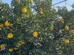 -南通洲际绿博园