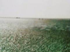 -上海南汇嘴大堤酒店