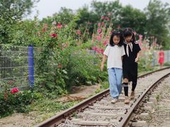 -西青郊野公园