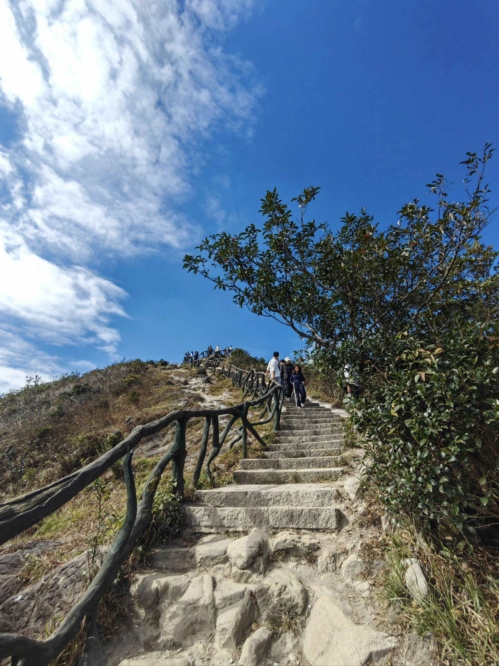 梧桐山登顶攻略