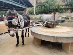 -梁家河村红色旅游区