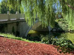 -大兴滨河森林公园