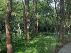 -西郊宾馆·1921餐厅