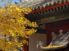 -红螺寺