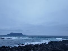 -涉地可支