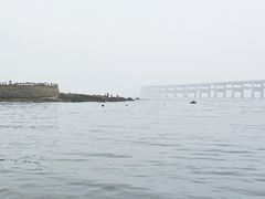 -黑石礁公园