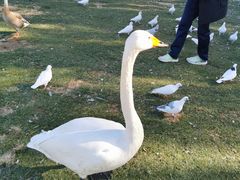 -银树楼(紫玉山庄东区店)