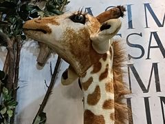 -仓库烤肉(绿园店)