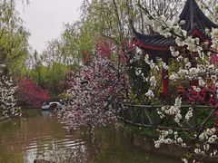 -南汇桃花村