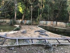 -清迈夜间动物园