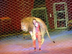 -珠海横琴长隆《卡卡虎奇遇记》