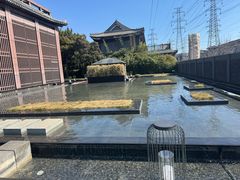 -曲水兰亭(北京四惠店)