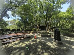 -上海佘山国家森林公园天马山园