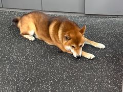 -博纳私人订制健身(中集美兰湖店)