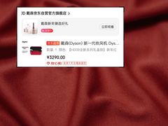 -Dyson戴森直营店(世纪汇店)