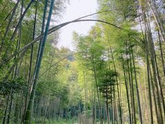-梅岭神龙潭