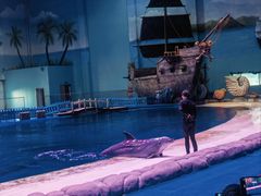 -华夏文旅海洋公园