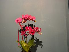 -橘洲1925湖湘餐厅
