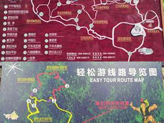 -呀诺达热带雨林