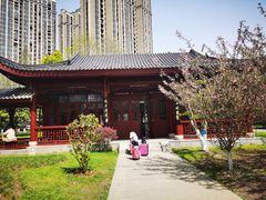 -堤角公园
